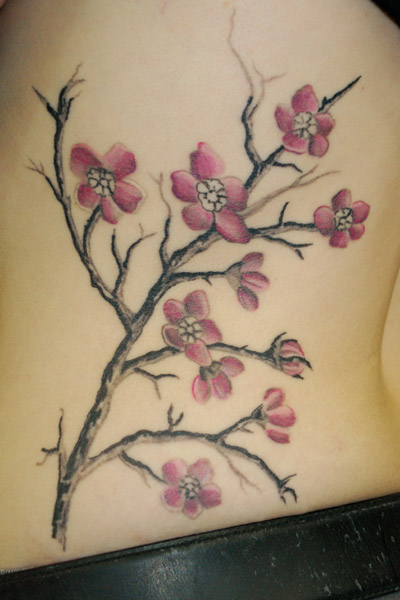 bodi bilderi. tatouage fleur de cerisier.